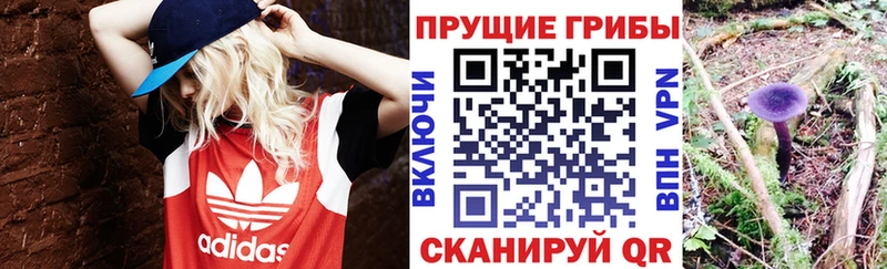 Галлюциногенные грибы Magic Shrooms  ссылка на мегу ССЫЛКА  Владивосток  даркнет сайт 