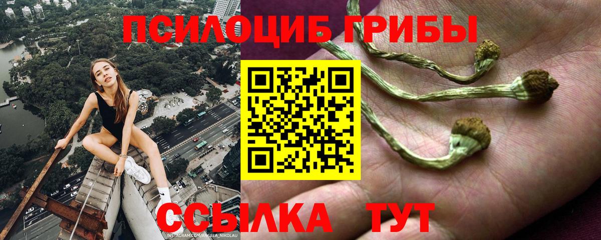 Галлюциногенные грибы Psilocybine cubensis  как найти закладки  Владивосток 